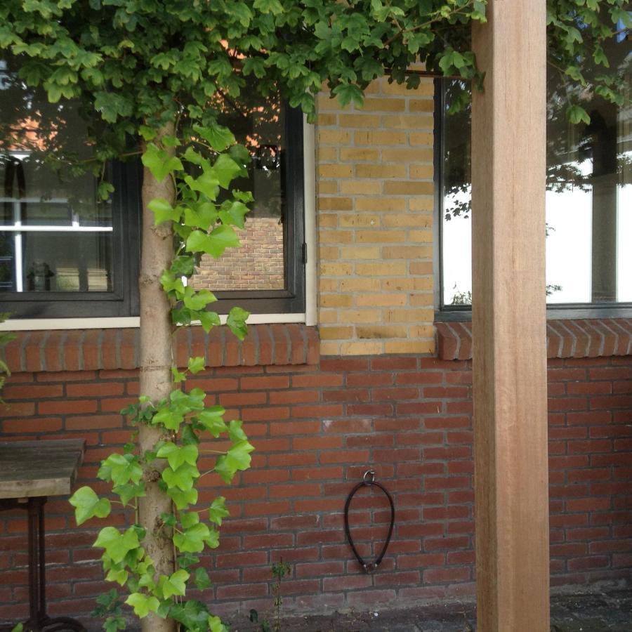Appartement Zuid 잔드보르트 외부 사진