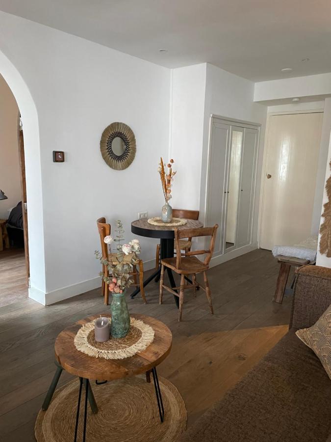 Appartement Zuid 잔드보르트 외부 사진
