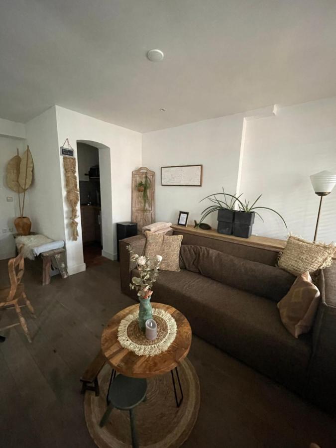 Appartement Zuid 잔드보르트 외부 사진
