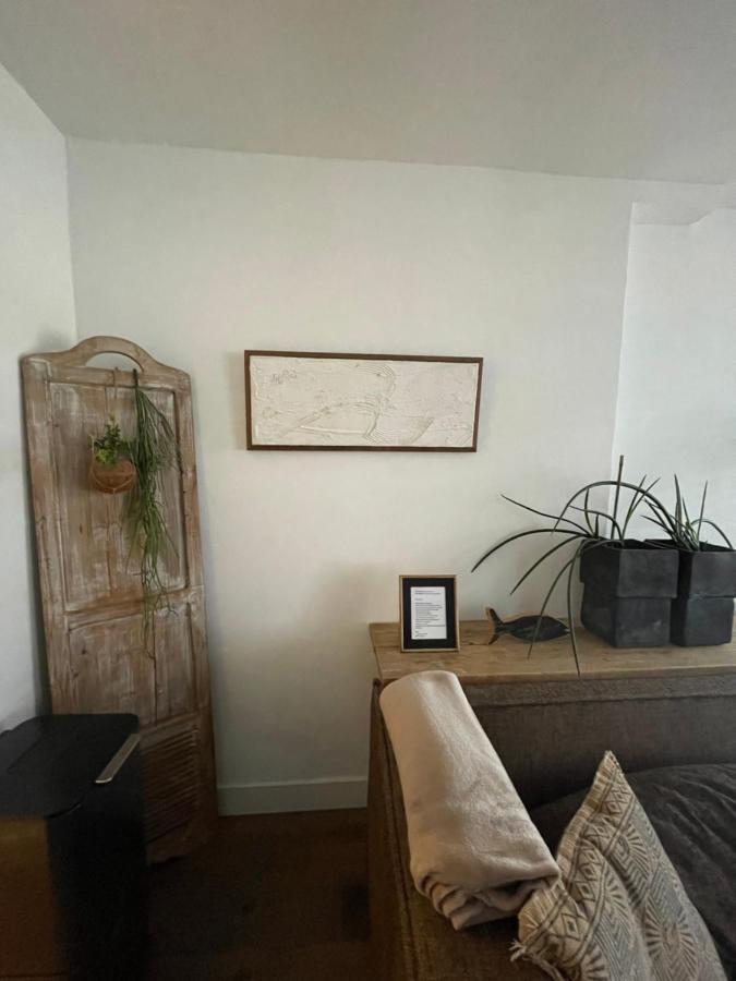 Appartement Zuid 잔드보르트 외부 사진