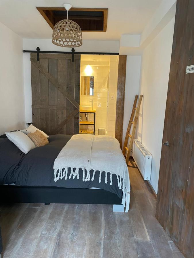 Appartement Zuid 잔드보르트 외부 사진