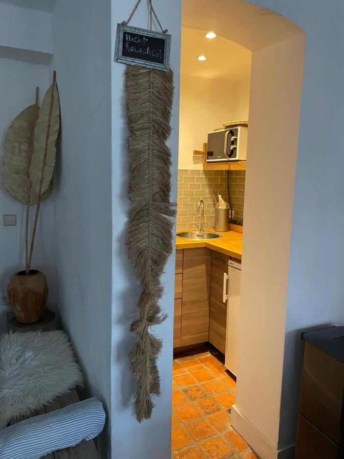 Appartement Zuid 잔드보르트 외부 사진